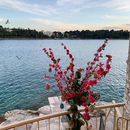 Daniela Mit Pool In Bale, Bei Rovinj Fuer 4-6 Personen *
